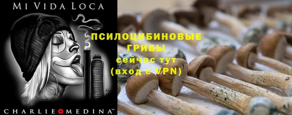 спайс Беломорск