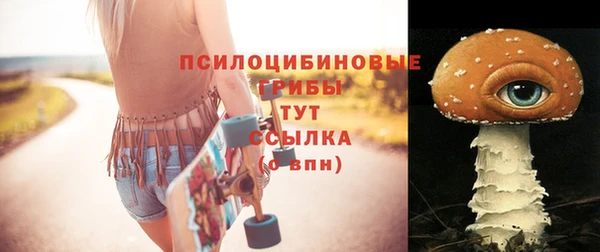 спайс Беломорск