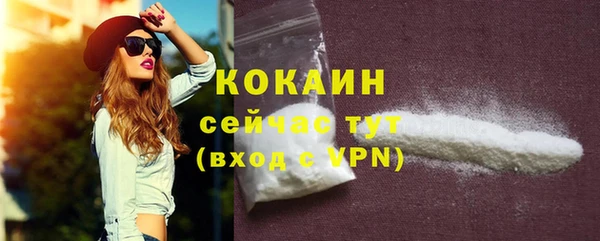 бошки Белокуриха