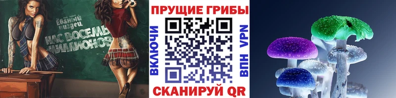 цены наркотик  Красновишерск  Галлюциногенные грибы GOLDEN TEACHER 